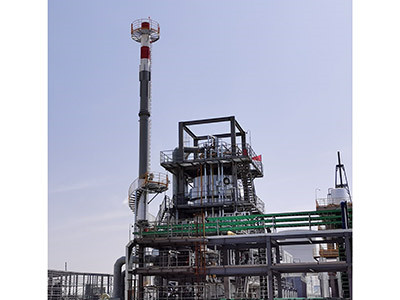 五恒化学-bdo废气废液焚烧装置图片2