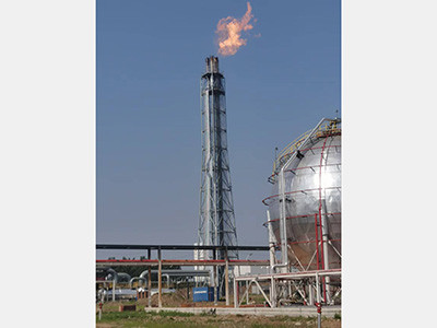 徐州龙兴泰-高架火炬